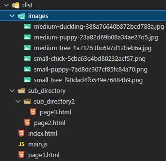 Image files also in the output directory